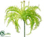 Silk Plants Direct Fern Pick - Green - Pack of 12