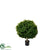 Boxwood Ball - Green - Pack of 2