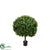 Outdoor Boxwood Ball - Green - Pack of 2