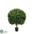 Outdoor Boxwood Ball - Green - Pack of 2