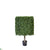 Outdoor Boxwood Cube Topiary - Green - Pack of 1
