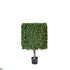 Silk Plants Direct Outdoor Boxwood Cube Topiary - Green - Pack of 1