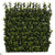 Outdoor Boxwood Wall Mat - Green - Pack of 12