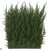 Outdoor Cypress Wall Mat - Green - Pack of 12