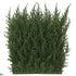Silk Plants Direct Outdoor Cypress Wall Mat - Green - Pack of 12