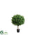Outdoor Tea Leaf Topiary Ball - Green - Pack of 2
