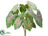Silk Plants Direct Caladium Plant - Green Pink - Pack of 12