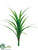 Dracaena Plant - Green - Pack of 6