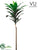 Outdoor Dracaena Plant - Green - Pack of 4