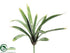 Silk Plants Direct Guzmania Plant - Green Yellow - Pack of 6