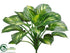 Silk Plants Direct Hosta Plant - Green Cream - Pack of 6