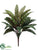 Hosta Shrub Plant - Green - Pack of 24