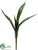 Sansevieria Plant - Green Two Tone - Pack of 24