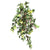 Outdoor English Ivy Bush - Green - Pack of 12