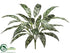 Silk Plants Direct Silver Queen Plant - Green Dark - Pack of 6