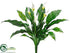Silk Plants Direct Spathiphyllum Plant - Green White - Pack of 6