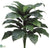 Giant Spathiphyllum Peace Lily Plant - Green - Pack of 2