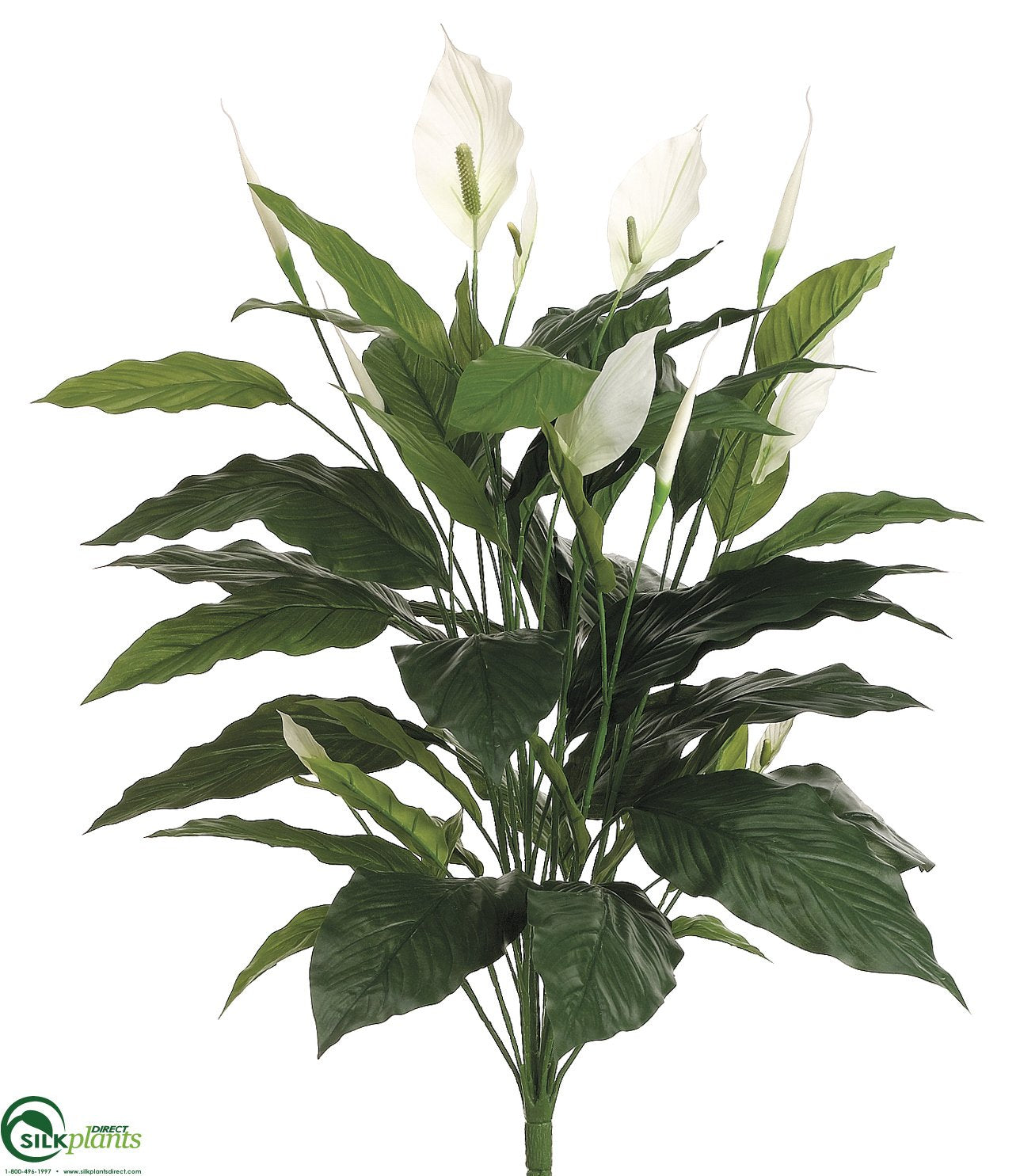 faux peace lily stems Silk Plants Direct Spathiphyllum Peace Lily Plant - Green