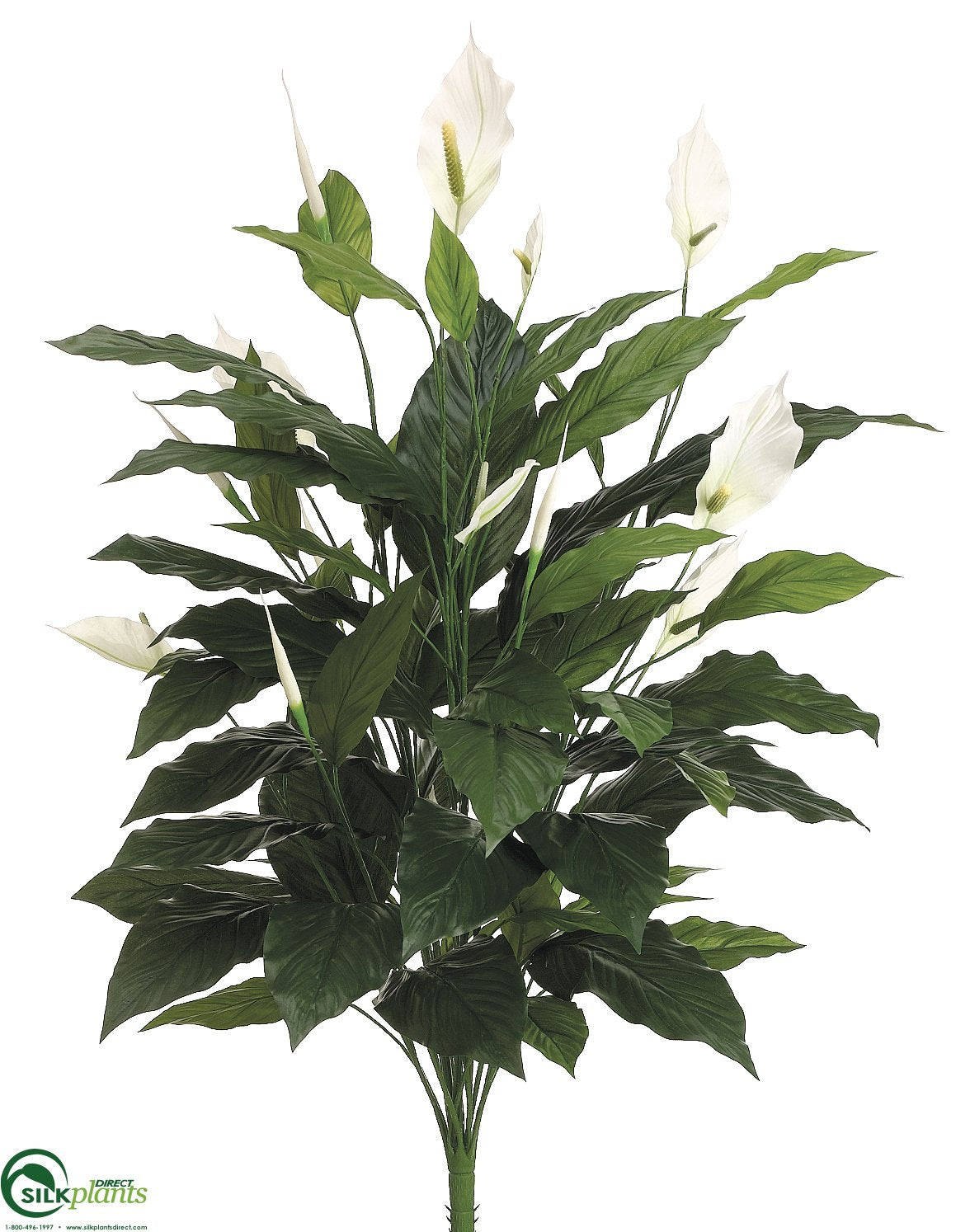 artificial peace lily flower Silk Plants Direct Spathiphyllum Peace Lily Plant - Green