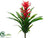 Tropical Plant - Red Green - Pack of 12