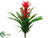 Tropical Plant - Red Green - Pack of 12