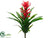 Tropical Plant - Red Green - Pack of 12