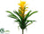 Tropical Plant - Yellow Green - Pack of 12