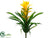 Tropical Plant - Yellow Green - Pack of 12