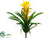 Tropical Plant - Yellow Green - Pack of 12