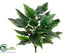 Silk Plants Direct Hosta Plant - Green - Pack of 6
