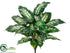 Silk Plants Direct Dieffenbachia Plant - Green - Pack of 6