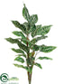 Silk Plants Direct Zebra Plant - Green - Pack of 6