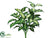 Silk Plants Direct Dieffenbachia - Green Cream - Pack of 6