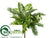 Dieffenbachia, Palm, Pothos Bush - Green - Pack of 6