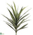 Yucca Plant - Green - Pack of 3