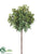 Needlepoint Ivy Topiary - Green - Pack of 12