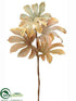 Silk Plants Direct Aralia Spray - Fall - Pack of 12