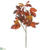 Silk Plants Direct Alder Leaf Spray - Burgundy - Pack of 12
