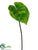 Anthurium Leaf Spray - Green - Pack of 12