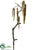 Hanging Amaranthus Spray - Brown Orange - Pack of 6