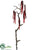 Hanging Amaranthus Spray - Burgundy - Pack of 6