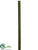 Bamboo Stick - Green - Pack of 6