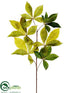 Silk Plants Direct Buckeye Leaf Spray - Green Two Tone - Pack of 6