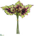 Silk Plants Direct Begonia Leaf Bundle - Green Boysenberry - Pack of 6