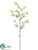 Bamboo Spray - Green - Pack of 12