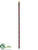 Bamboo Stick - Brown - Pack of 12