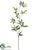 Bamboo Branch - Green - Pack of 12