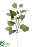 Silk Plants Direct Bodhi Tree Leaf Spray - Green Two Tone - Pack of 12