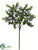 Boxwood Spray - Green - Pack of 24