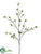 Birch Leaf Spray - Green - Pack of 12